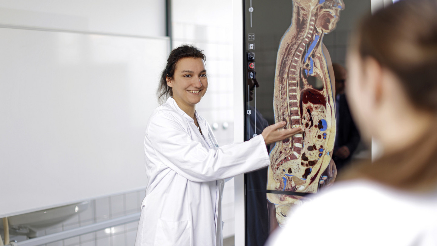 Mitarbeiterin des Instituts für Neuroanatomie Göttingen am Anatomage